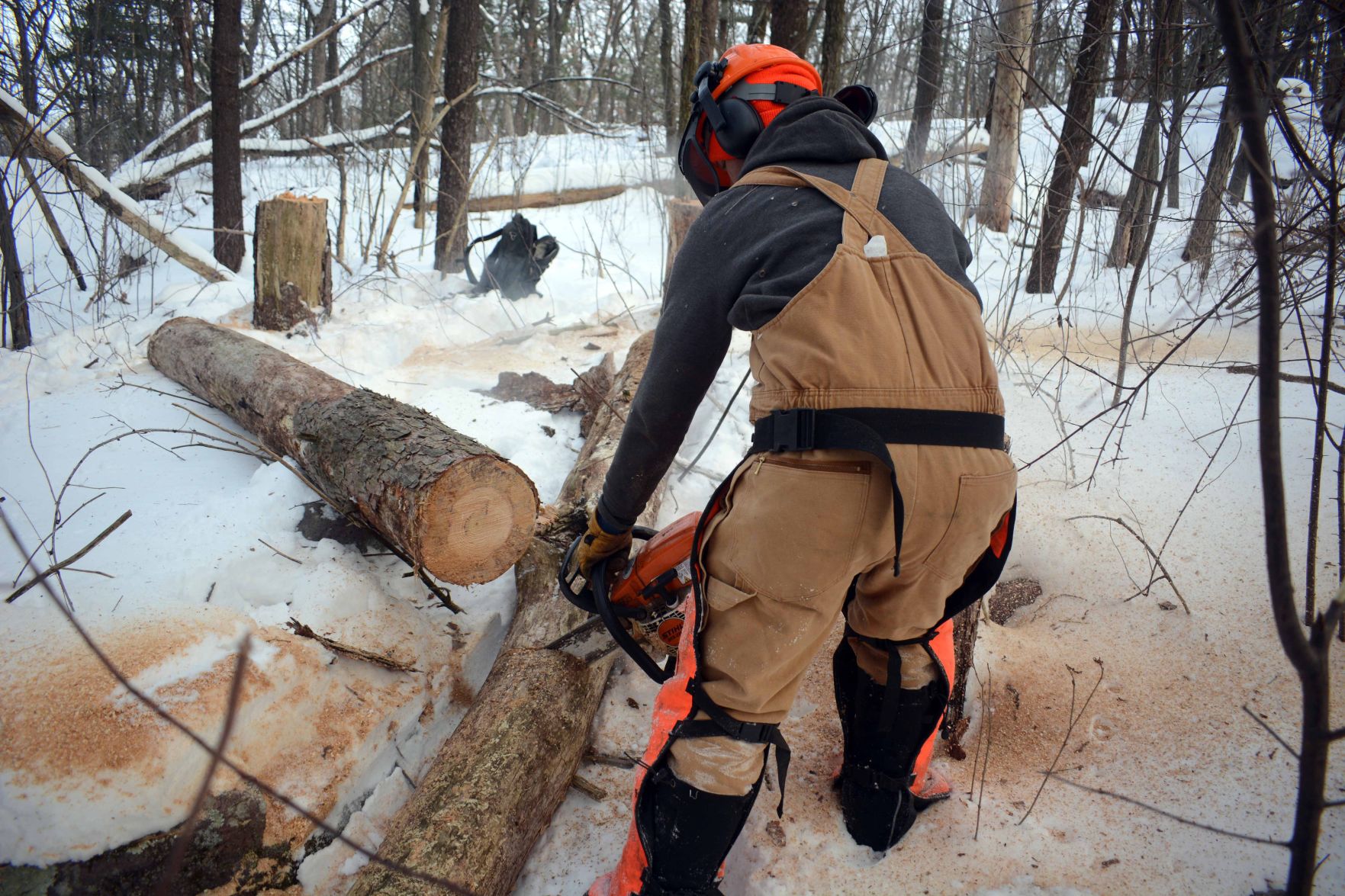 Devil's Lake east bluff stewardship work